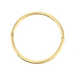8694IST Gold Bangle